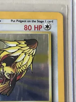 Pokemon Vintage Holo Rare Pidgeot 8/64 Jungle WotC 1999 - Image 4