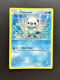 Pokemon Card Oshawott BW03 Holo Black & White Black Star Promo MP - Image 1