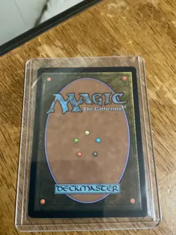 Stormcarved Coast (Borderless) #284 (Foil) (NM) Crimson Vow VOW Magic MTG Mint - Image 2