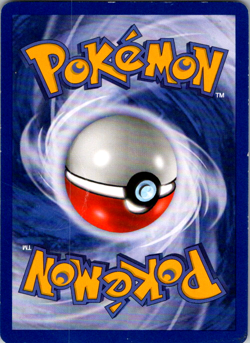 Pokemon TCG Moltres Wizards Black Star Promos 21 Regular Promo Promo - Image 2