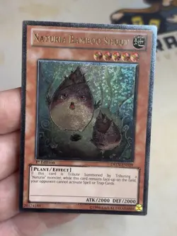 DREV-EN029 Naturia Bamboo Shoot Ultimate Rare 1st Edition YuGiOh! VLP EURO - Image 2