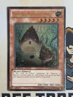 DREV-EN029 Naturia Bamboo Shoot Ultimate Rare 1st Edition YuGiOh! VLP EURO - Image 3