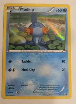Treecko Torchic MudkipPokemon XY36 XY37 XY38 Promo Holo Card LP - Image 4