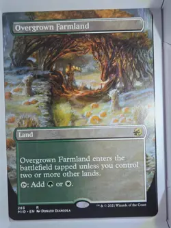 Overgrown Farmland (Borderless) - R283 - MTG - Innistrad: Midnight Hunt (MID) - Image 1