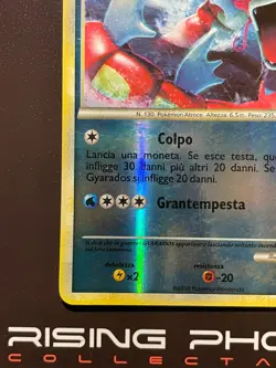 Rising Phoenix Pokemon Gyarados 123/123 HeartGold & SoulSilver Rev Ita Exc #0810 - Image 4