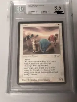 MTG Arabian Nights Camel BGS 8.5 NM-MT+ Magic the Gathering - Image 1