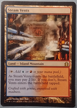 Steam Vents Return to Ravnica MTG Magic The Gathering #247 - Image 1