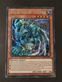 Yu-Gi-Oh ! - Eveil des Possedees - Gagigobyte - DLCS-FR143 - Secret Rare - Image 1