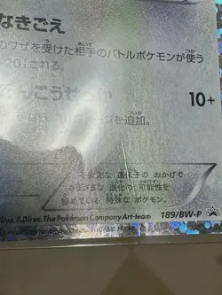 Pokemon Card Japanese Eevee Promo 189/BW-P Eevee Collection - Image 3