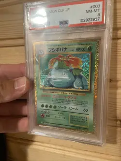 PSA 8 Venusaur Holo 003/032 CLF Classic 2023 Pokemon Card Japanese #395 - Image 3