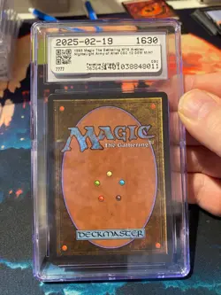 MTG Arabian Nights Army of Allah Light CGC 10 - Image 2