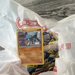Pokemon TCG Mixed Card Lot Riolu Basic English Standard - Image 3