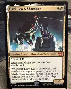 Dark Leo & Shredder Teenage Mutant Ninja Turtles Regular - Image 1