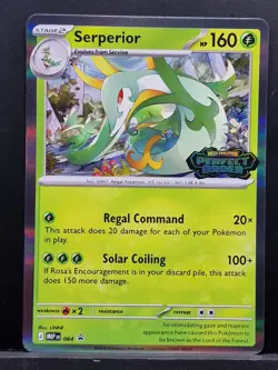 Serperior 064 Promo Perfect Order Prerelease Stamped Promo NM Pokemon TCG 2026 - Image 1