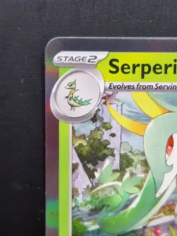 Serperior 064 Promo Perfect Order Prerelease Stamped Promo NM Pokemon TCG 2026 - Image 2