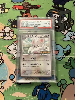 Japanese Pokemon PSA 10 Cinccino Kids Special Promo 069/BW-P - Image 1