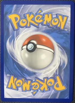 Big Parasol (Secret) 199/189 Swsh03: Darkness Ablaze Holo - Pokemon Card - Image 2