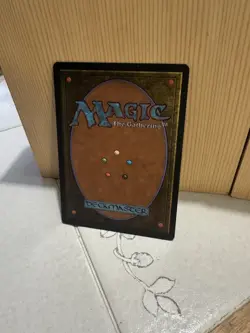Magic the Gathering Sword Of Ages *Italian Version Signed By The Artist - Image 3
