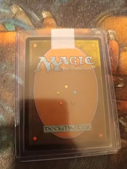 Forest (249) - Full Art Zendikar Foil, NM, MTG, magic, FREE NEXT DAY SHIPPING! - Image 2