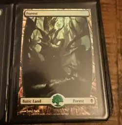 Forest (247) - Zendikar - FOIL - MTG - NM - Image 1