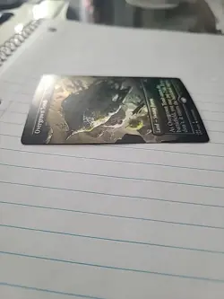 Overgrown Tomb - Foil - Borderless Unfinity Magic mtg NM-Mint, English x1 - Image 3