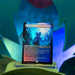 Magic The Gathering MTG Secret Lair Drop Series Lorwyn Lightboxes RAINBOW FOIL - Image 4