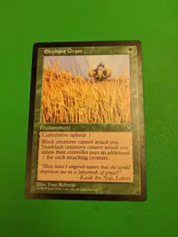 Elephant Grass Visions Regular - Image 1