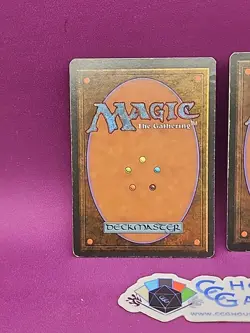 MTG 2 Plains FBB italian Lot See Scans Basic Land Revised Magic Rare *CCGHouse* - Image 5