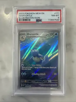 Pokemon TCG Wartortle Scarlet & Violet 151 IR 171/165 PSA 8 - Image 1