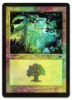 Forest (347) #347 (Foil) (LP) Onslaught ONS Magic MTG - Image 1