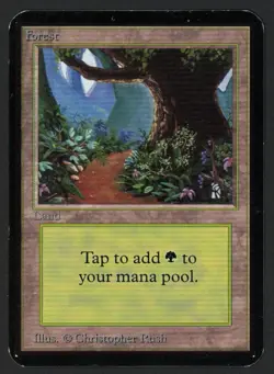 ***Alpha Forest Path*** MTG Alpha Magic Kid Icarus - Image 1