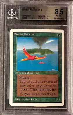 MTG Birds of Paradise unlimited BGS 8.5 near mint with 2x 9.5s - Image 1