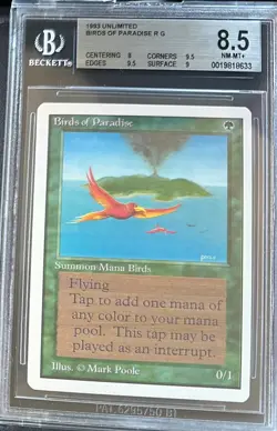 MTG Birds of Paradise unlimited BGS 8.5 near mint with 2x 9.5s - Image 3