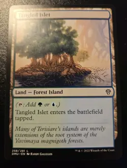 Tangled Islet 258/281 Land Dominaria United Magic: The Gathering - Image 1