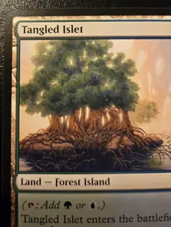 Tangled Islet 258/281 Land Dominaria United Magic: The Gathering - Image 2