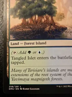 Tangled Islet 258/281 Land Dominaria United Magic: The Gathering - Image 4