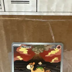Numel 223/217 Illustration RareAscended Heroes Pokemon Near Mint ships fast - Image 2