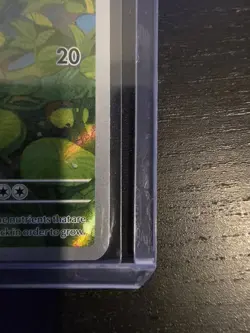 Pokemon TCG Bulbasaur Scarlet & Violet 151 Illustration Rare 166/165 NM/MT - Image 3