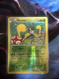 2013 Pokemon Shuckle Legendary Treasures Reverse Holo Card 3/113 NM - Image 1
