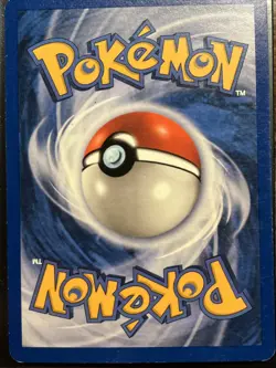 Ditto Skyridge Regular Card 51/144 Trading Card - Image 3