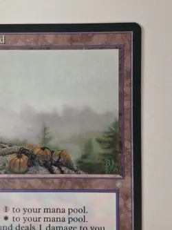 Brushland Ice Age Regular NM Excellent Condition X1 MTG BB - Image 3