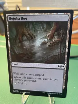 2025 NM Bojuka Bog, MTG, Tarkir: Dragonstorm, Magic the Gathering, 341 - Image 3
