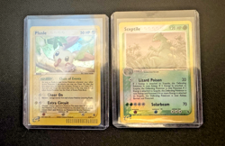 Pokemon Cards Lot of 2 Lot #17 Rare Holos Plusle/Sceptile - Image 1