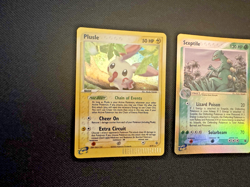 Pokemon Cards Lot of 2 Lot #17 Rare Holos Plusle/Sceptile - Image 3