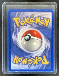 2003 Pokemon EX Ruby & Sapphire Wailord Holo #14/109 - Image 2