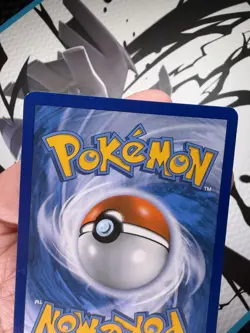 Skitty 113/149 Boundaries Crossed Reverse Holo - Pokemon TCG NM/LP - Image 5