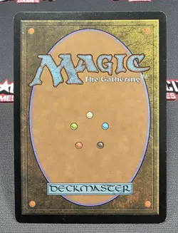 MTG Chameleon Colossus- Signed -Morningtide Magic the Gathering Card #116 - Image 2