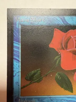 Mana Short Magic The Gathering English Blue Signed By Artist - Image 2