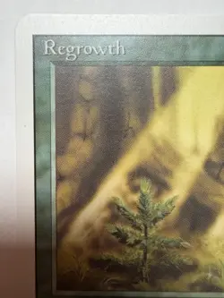 Regrowth Revised Signed Dameon Willich Magic The Gathering Rare MTG - Image 2