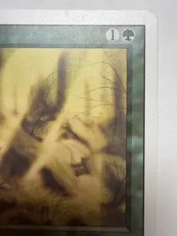 Regrowth Revised Signed Dameon Willich Magic The Gathering Rare MTG - Image 3